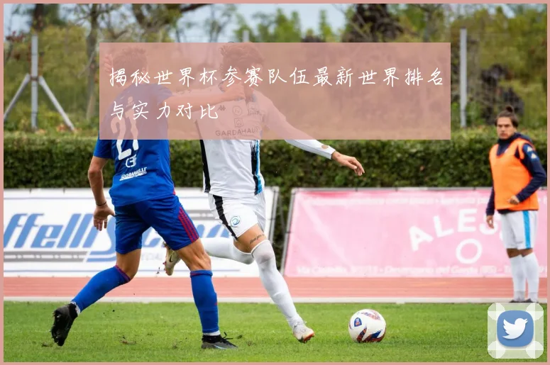 揭秘世界杯参赛队伍最新世界排名与实力对比