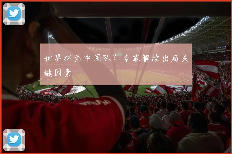 世界杯无中国队？专家解读出局关键因素