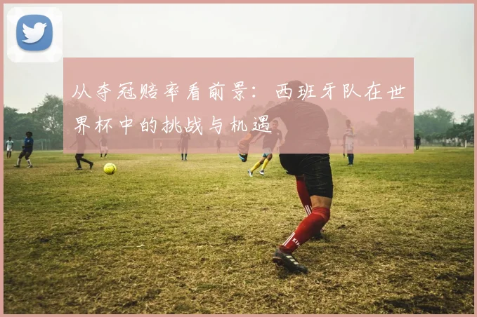 从夺冠赔率看前景：西班牙队在世界杯中的挑战与机遇