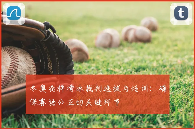 冬奥花样滑冰裁判选拔与培训：确保赛场公正的关键环节